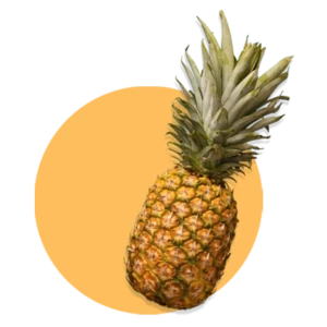 Ananas comosus