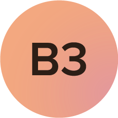Vitamine B3
