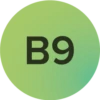 Vitamine B9