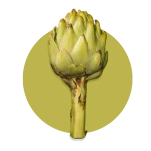 Artichaut