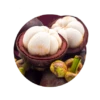 Garcinia cambogia