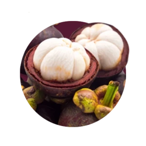 Garcinia cambogia