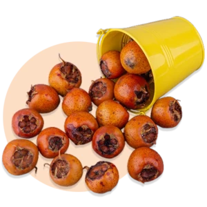 Guarana