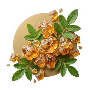 Boswellia serrata