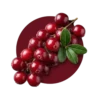 Cranberry