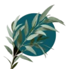 Eucalyptus