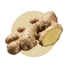 Gingembre
