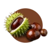 Marron d'inde