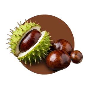 Marron d'inde