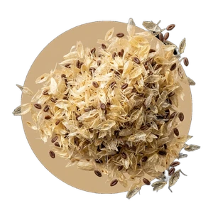 Psyllium