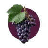 Raisin