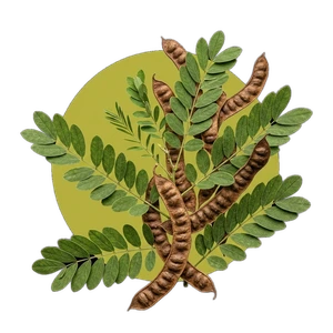 Séné