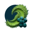 Spiruline