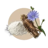 Inuline