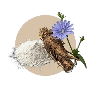 Inuline