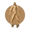 Teinture de ginseng (Panax ginseng C.A. Meyer)