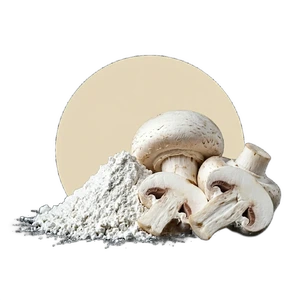 Chitosan végétal