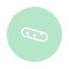 Lactobacillus reuteri