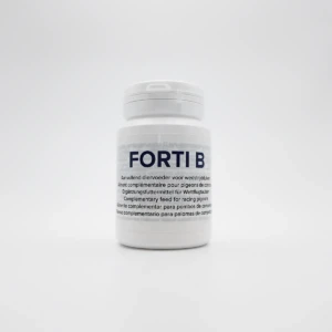 Forti B 27